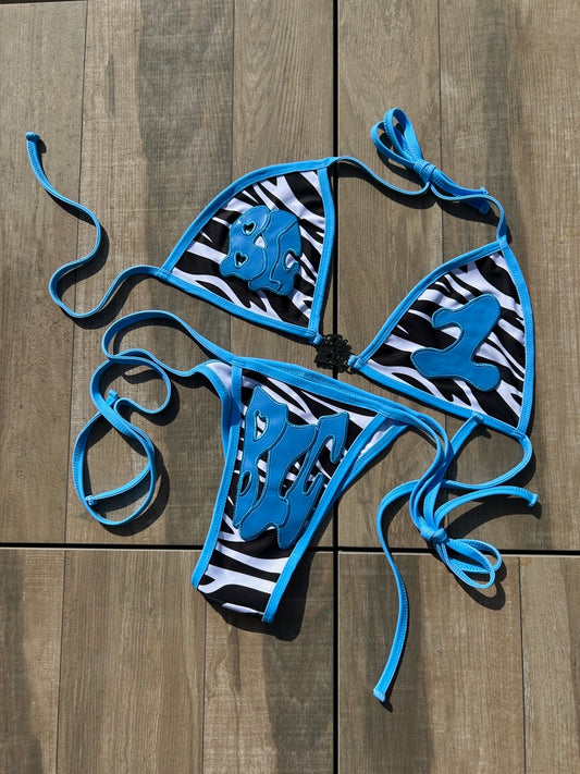 ARCTIC ICE ‘THEB1G’ SWIM